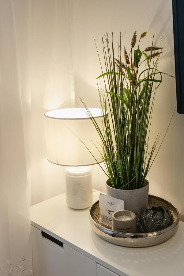 Apartament Witkiewicza Sanok Exteriör bild